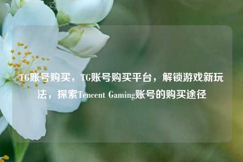 TG账号购买，TG账号购买平台，解锁游戏新玩法，探索Tencent Gaming账号的购买途径