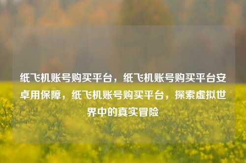 纸飞机账号购买平台，纸飞机账号购买平台安卓用保障，纸飞机账号购买平台，探索虚拟世界中的真实冒险