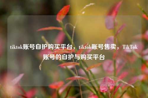 tiktok账号自护购买平台，tiktok账号售卖，TikTok账号的自护与购买平台