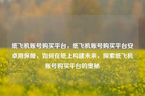 纸飞机账号购买平台，纸飞机账号购买平台安卓用保障，如何在纸上构建未来，探索纸飞机账号购买平台的奥秘