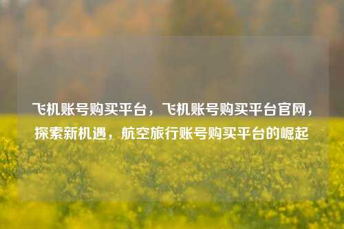 飞机账号购买平台，飞机账号购买平台官网，探索新机遇，航空旅行账号购买平台的崛起