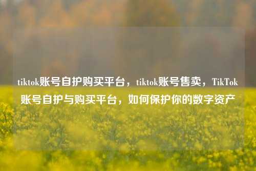 tiktok账号自护购买平台，tiktok账号售卖，TikTok账号自护与购买平台	，如何保护你的数字资产  第1张