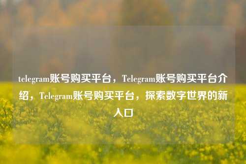 telegram账号购买平台，Telegram账号购买平台介绍，Telegram账号购买平台，探索数字世界的新入口