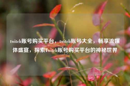 twitch账号购买平台，twitch账号大全，畅享流媒体盛宴，探索Twitch账号购买平台的神秘世界