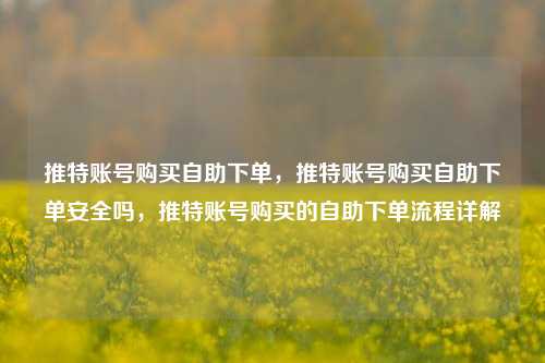 推特账号购买自助下单，推特账号购买自助下单安全吗，推特账号购买的自助下单流程详解