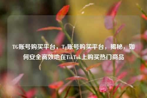 TG账号购买平台，Tg账号购买平台，揭秘，如何安全高效地在TikTok上购买热门商品