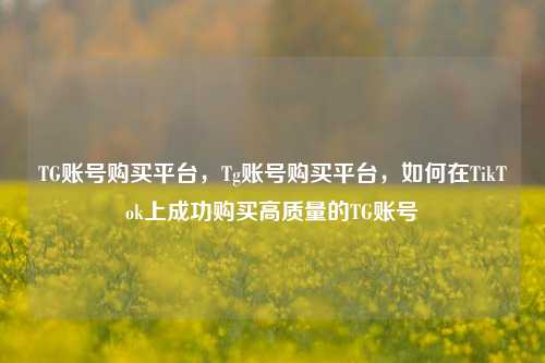 TG账号购买平台，Tg账号购买平台，如何在TikTok上成功购买高质量的TG账号