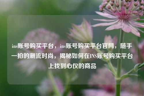 ins账号购买平台，ins账号购买平台官网，随手一拍的潮流时尚，揭秘如何在INS账号购买平台上找到心仪的商品