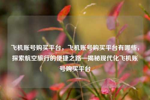 飞机账号购买平台，飞机账号购买平台有哪些，探索航空旅行的便捷之路—揭秘现代化飞机账号购买平台