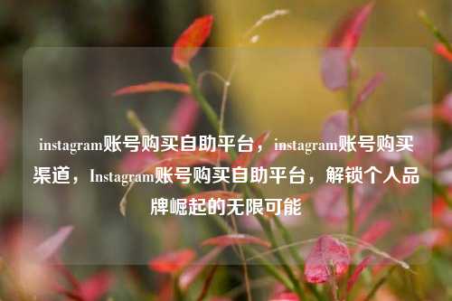 instagram账号购买自助平台，instagram账号购买渠道，Instagram账号购买自助平台，解锁个人品牌崛起的无限可能  第1张