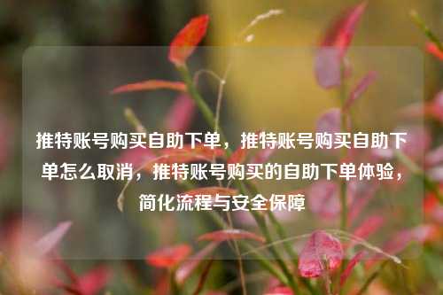 推特账号购买自助下单，推特账号购买自助下单怎么取消，推特账号购买的自助下单体验，简化流程与安全保障