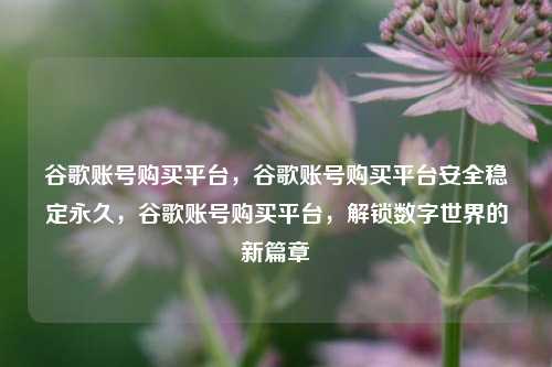 谷歌账号购买平台，谷歌账号购买平台安全稳定永久，谷歌账号购买平台，解锁数字世界的新篇章