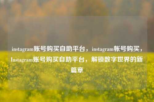 instagram账号购买自助平台，instagram帐号购买，Instagram账号购买自助平台，解锁数字世界的新篇章