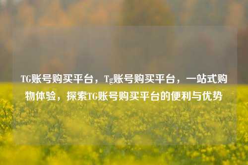 TG账号购买平台，Tg账号购买平台，一站式购物体验，探索TG账号购买平台的便利与优势