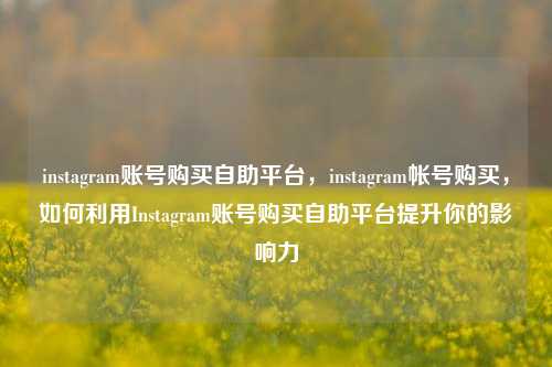 instagram账号购买自助平台，instagram帐号购买，如何利用Instagram账号购买自助平台提升你的影响力