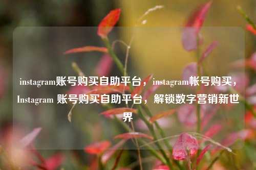 instagram账号购买自助平台，instagram帐号购买，Instagram 账号购买自助平台，解锁数字营销新世界