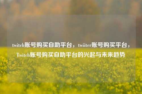 twitch账号购买自助平台，twiiter账号购买平台，Twitch账号购买自助平台的兴起与未来趋势
