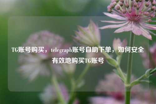 TG账号购买，telegraph账号自助下单，如何安全有效地购买TG账号