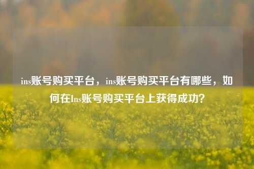 ins账号购买平台，ins账号购买平台有哪些，如何在Ins账号购买平台上获得成功？