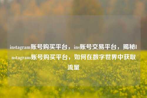 instagram账号购买平台，ins账号交易平台，揭秘Instagram账号购买平台，如何在数字世界中获取流量