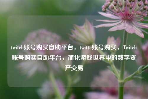 twitch账号购买自助平台，twitte账号购买，Twitch账号购买自助平台，简化游戏世界中的数字资产交易