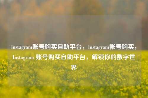 instagram账号购买自助平台，instagram帐号购买，Instagram 账号购买自助平台，解锁你的数字世界