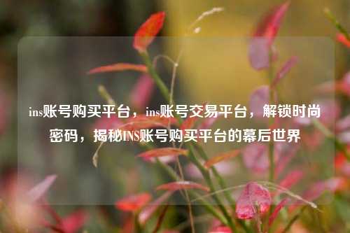 ins账号购买平台，ins账号交易平台，解锁时尚密码，揭秘INS账号购买平台的幕后世界