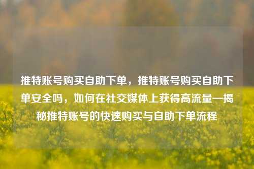推特账号购买自助下单，推特账号购买自助下单安全吗，如何在社交媒体上获得高流量—揭秘推特账号的快速购买与自助下单流程
