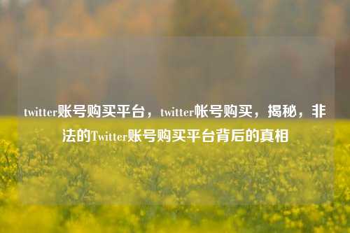 twitter账号购买平台，twitter帐号购买，揭秘，非法的Twitter账号购买平台背后的真相