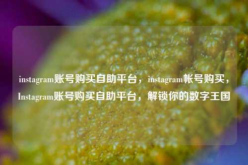 instagram账号购买自助平台，instagram帐号购买，Instagram账号购买自助平台，解锁你的数字王国