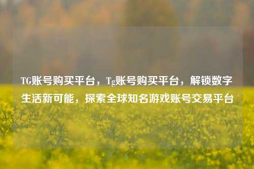 TG账号购买平台，Tg账号购买平台，解锁数字生活新可能，探索全球知名游戏账号交易平台