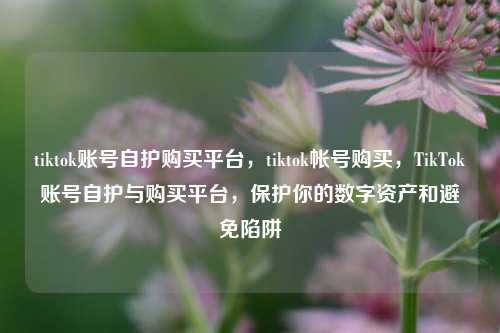 tiktok账号自护购买平台，tiktok帐号购买，TikTok账号自护与购买平台，保护你的数字资产和避免陷阱