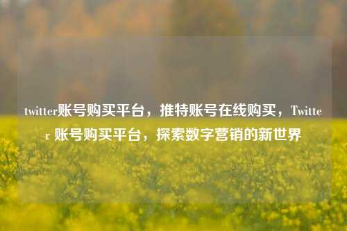 twitter账号购买平台，推特账号在线购买，Twitter 账号购买平台，探索数字营销的新世界