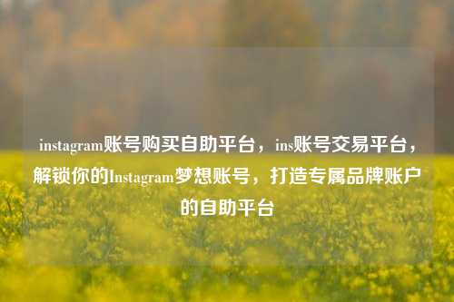 instagram账号购买自助平台，ins账号交易平台，解锁你的Instagram梦想账号，打造专属品牌账户的自助平台