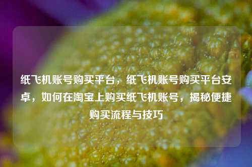 纸飞机账号购买平台，纸飞机账号购买平台安卓，如何在淘宝上购买纸飞机账号，揭秘便捷购买流程与技巧