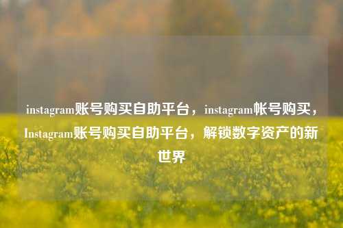 instagram账号购买自助平台，instagram帐号购买，Instagram账号购买自助平台，解锁数字资产的新世界