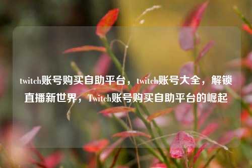twitch账号购买自助平台，twitch账号大全，解锁直播新世界，Twitch账号购买自助平台的崛起