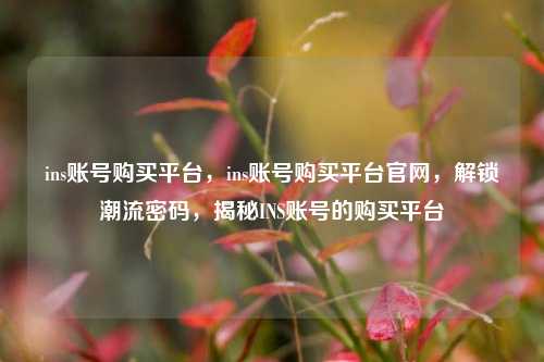 ins账号购买平台，ins账号购买平台官网，解锁潮流密码，揭秘INS账号的购买平台