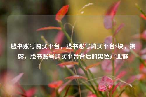 脸书账号购买平台，脸书账号购买平台2块，揭露，脸书账号购买平台背后的黑色产业链