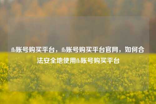 fb账号购买平台，fb账号购买平台官网，如何合法安全地使用fb账号购买平台