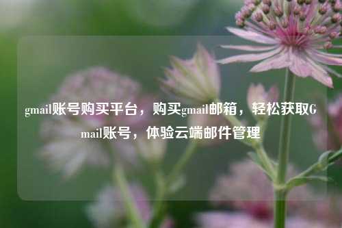 gmail账号购买平台，购买gmail邮箱，轻松获取Gmail账号，体验云端邮件管理