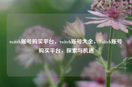twitch账号购买平台，twitch账号大全，Twitch账号购买平台，探索与机遇