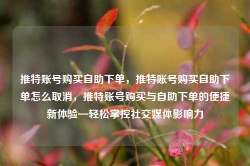 推特账号购买自助下单，推特账号购买自助下单怎么取消，推特账号购买与自助下单的便捷新体验—轻松掌控社交媒体影响力