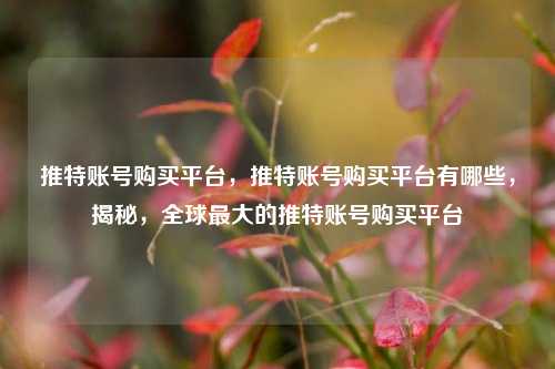 推特账号购买平台，推特账号购买平台有哪些，揭秘，全球最大的推特账号购买平台