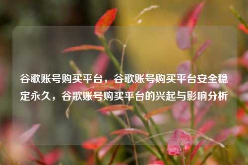 谷歌账号购买平台，谷歌账号购买平台安全稳定永久，谷歌账号购买平台的兴起与影响分析