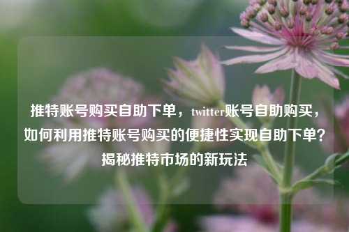 推特账号购买自助下单，twitter账号自助购买，如何利用推特账号购买的便捷性实现自助下单？揭秘推特市场的新玩法