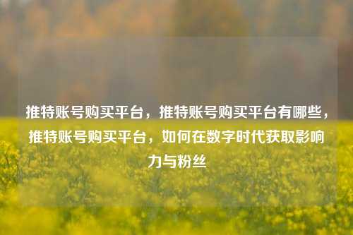推特账号购买平台，推特账号购买平台有哪些，推特账号购买平台，如何在数字时代获取影响力与粉丝