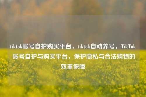 tiktok账号自护购买平台，tiktok自动养号，TikTok 账号自护与购买平台，保护隐私与合法购物的双重保障