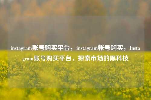 instagram账号购买平台，instagram帐号购买，Instagram账号购买平台，探索市场的黑科技
