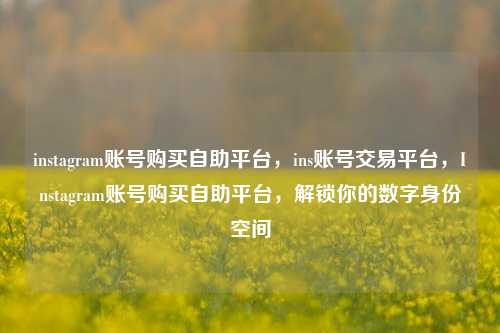 instagram账号购买自助平台，ins账号交易平台，Instagram账号购买自助平台，解锁你的数字身份空间